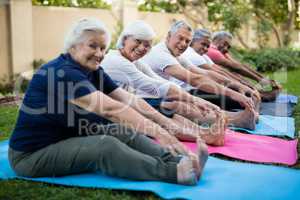 Happy senior people doing stretching exercises at park