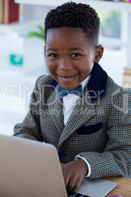 Portrait of smiling businessman using laptop