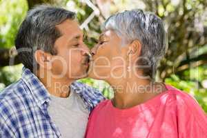 Senior couple kissing each other in garden