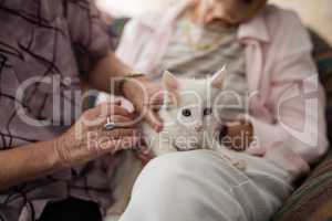 Midsection of senior females stroking kitten on armchair