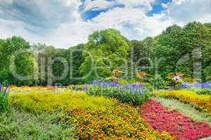 summer park with beautiful flowerbeds