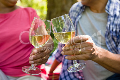 Senior couple toasting wine glasses at the park