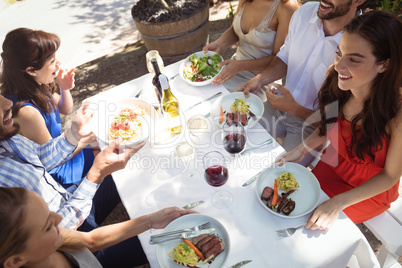 Group of friends having lunch