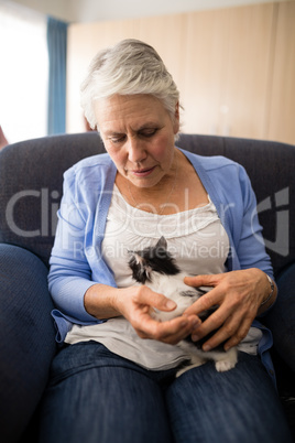 Senior women holding kitten while sitting on armchair