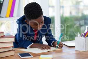 Boy imitating as businessman writing on diary