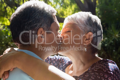 Senior couple kissing each other in park