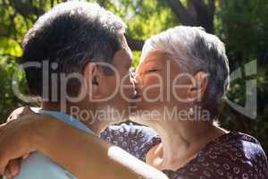 Senior couple kissing each other in park