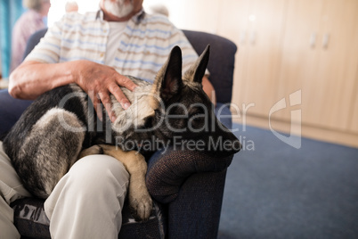Midsection of senior man sitting with puppy on armchair