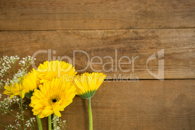 Directly above of fresh flowers Directly above of fresh flowers