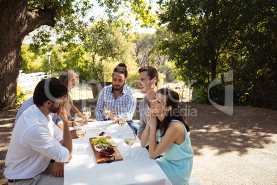 Group of friends interacting with each other while having champagne