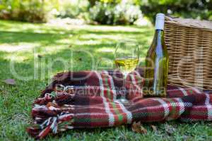 Wine glass and bottle on blanket