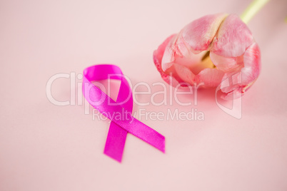 High angle view of Breast Cancer Awareness ribbon with tulip