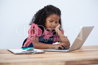 Businesswoman using laptop computer