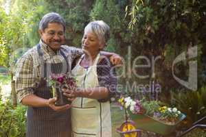 Senior couple looking sapling plant in garden