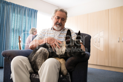 Low angle view of senior man stroking puppy while sitting on armchair