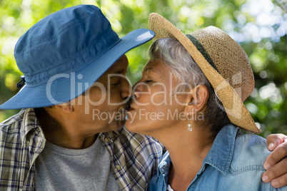 Senior couple kissing each other in park