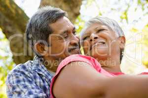 Senior couple sitting in garden