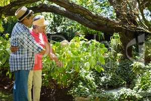 Senior couple standing with arm around in garden