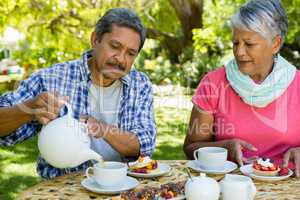 Senior couple drinking tea