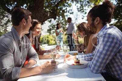 Group of friends having lunch