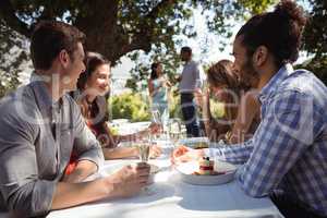 Group of friends having lunch