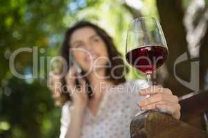 Woman talking on mobile phone while having wine