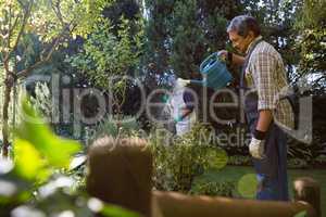 Senior man watering plants in garden