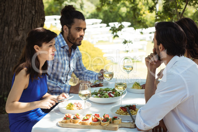 Group of friends having lunch