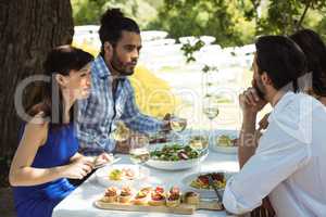 Group of friends having lunch