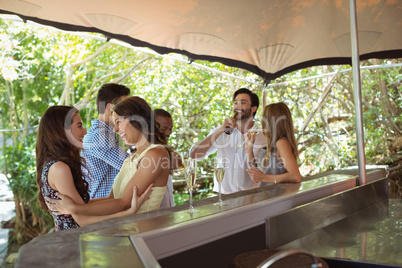 Friends interacting while having a alcohol at counter