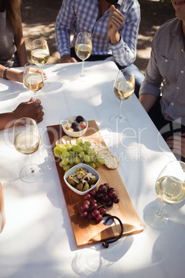 Group of friends interacting with each other while having champagne