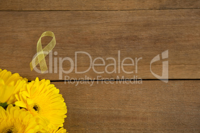 Overhead view of yellow Sarcoma Awareness ribbon by gerbera flowers
