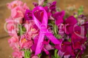 Close-up of pink Breast Cancer Awareness ribbon on flowers