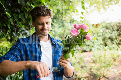 Man trimming flowers with pruning shears in garden
