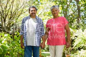 Senior couple holding hands in garden