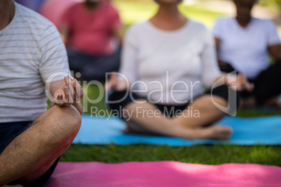 Mid section of senior people meditating at park