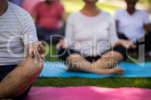 Mid section of senior people meditating at park