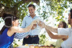 Group of friends toasting champagne glasses