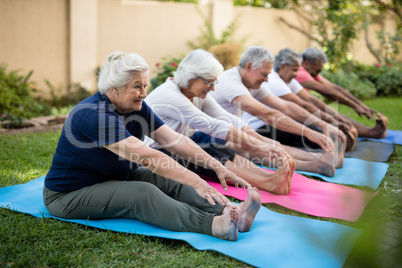 Cheerful seniors exercising on mats at park