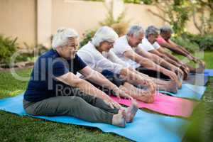 Cheerful seniors exercising on mats at park