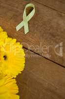 High angle view of spotted green Lymphoma Awareness ribbon with yellow gerbera flowers