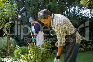 Senior couple gardening at the park