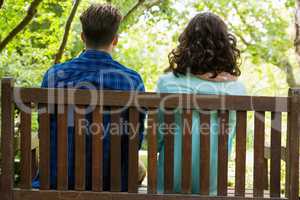 Rear view of couple sitting on bench in garden