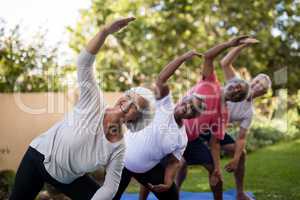 Portrait of smiling senior friends exercising with arms raised