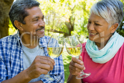 Senior couple toasting wine glasses