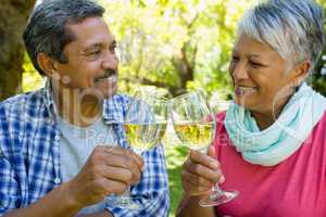 Senior couple toasting wine glasses