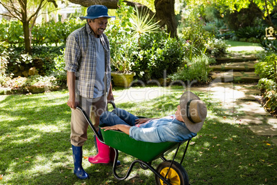 Senior man giving woman ride in wheelbarrow Senior man giving woman ride in wheelbarrow
