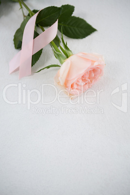 High angle view of pink Breast Cancer ribbon and rose