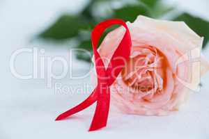 Close-up of red AIDS Awareness ribbon with pink rose