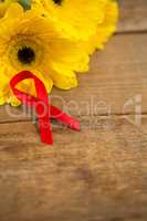 High angle view of red AIDS awareness ribbon by gerbera flowers